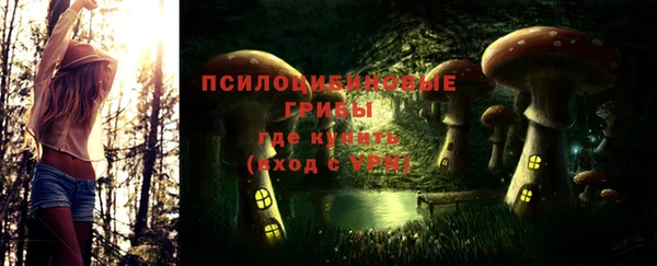 ПСИЛОЦИБИНОВЫЕ ГРИБЫ Абдулино
