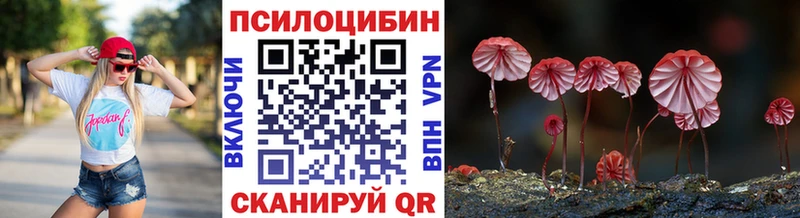 Псилоцибиновые грибы Psilocybe  Райчихинск 